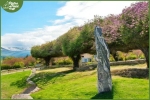 Esemplari da Giardino in Pietra